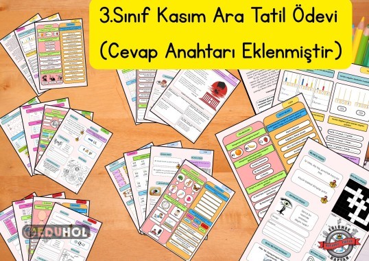 3. Sınıf Kasım Ara Tatil Ödevi ve Cevap Anahtarı