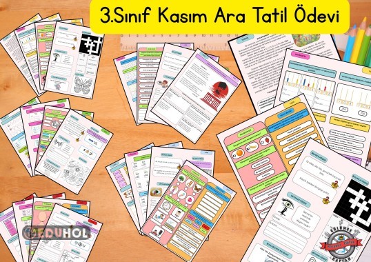 3.Sınıf Kasım Ara Tatil Ödevi