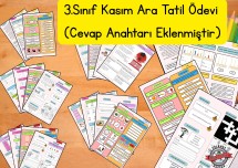 3. Sınıf Kasım Ara Tatil Ödevi ve Cevap Anahtarı