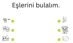 Matematik - Eşleştirme