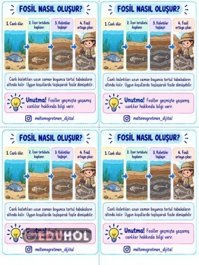 4. SINIF FOSİL OLUŞUMU BALIK FOSİLİ