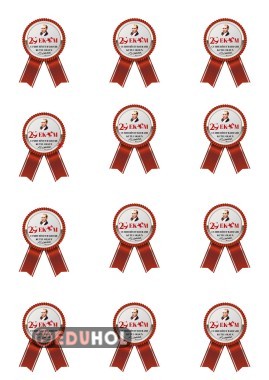 29 Ekim Cumhuriyet Bayramı Rozet