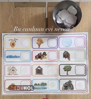 Hayvanlar ve yaşadıkları yerler