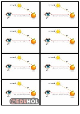 Fen Bilimleri Işığın Görmedeki Rolü Defter Çalışması