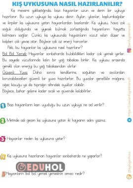 OKUMA ANLAMA METNİ-KIŞ UYKUSUNA NASIL HAZIRLANILIR?