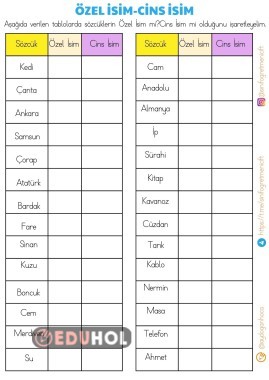 ÖZEL İSİM-CİNS İSİM