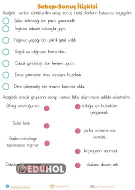 SEBEP SONUÇ İLİŞKİSİ ÇALIŞMA KAĞIDI