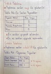 Veri toplama defter notu 2