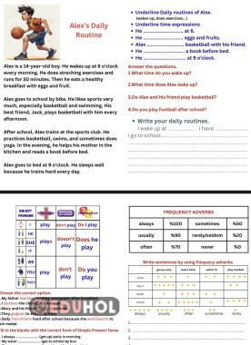 Daily Routines and Frequency Adverbs çalışması