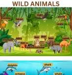 7.4 Wild Animals