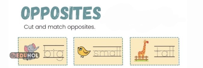 Opposites/ Zıt anlamlar (Cut and match)