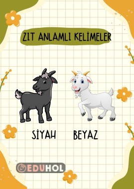Zıt Anlamlı Kelimeler