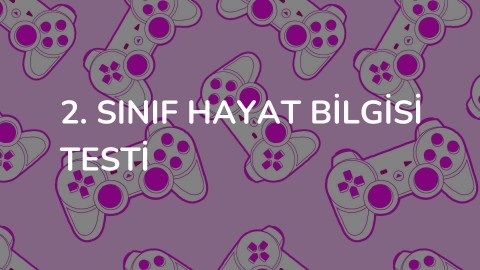 2. Sınıf Hayat Bilgisi Testi