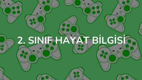 2. Sınıf Hayat Bilgisi