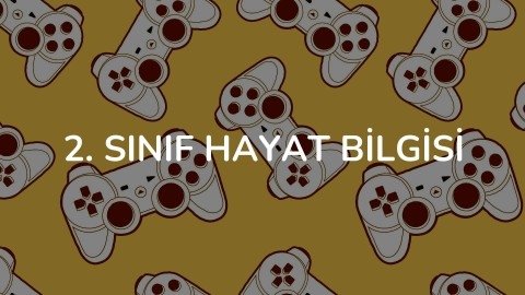 2. Sınıf Hayat Bilgisi