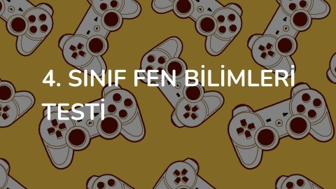 4. Sınıf Fen Bilimleri Testi