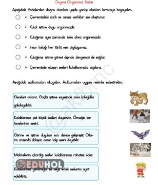 Arama Sonuçları · Eduhol - Etkinlik İndir Oyun Oyna Test Çöz Video İzle