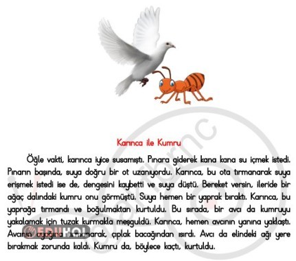 Karınca ile Kumru