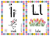 Harf Grup Sıralı Alfabe Kartları