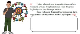 3. SINIF FEN BİLİMLERİ DUYU ORGANLARI SÜREÇ DEĞERLDNİRME