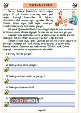 BERKAYIN CEVABI- OKUMA ANLAMA METNİ