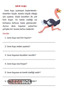 DEVEKUŞU- KISA OKUMA ANLAMA METNİ