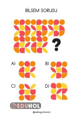 BİLSEM SORULARI