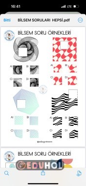 BİLSEM SORULARI