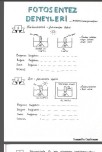 FOTOSENTEZ DENEYLERİ ÇALIŞMA KAĞIDI