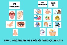 Duyu Organlarımız ve Sağlığımız