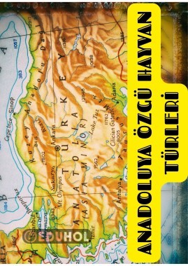 TÜRKİYE YE HAS HAYVAN TÜRÜ ÖRNEKLERİ