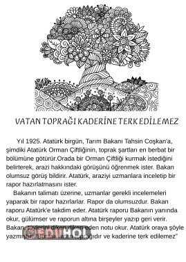Vatan Toprağı Kaderine Terk Edilemez