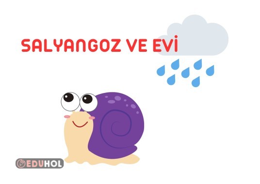 2. Sınıf Türkçe Uygun Noktalama İşaretlerini Koyma Çalışması