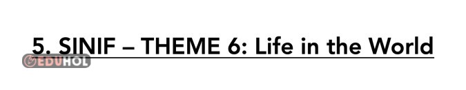 5. SINIF YAZILI CALISMASI - REVISION: LIFE IN THE WORLD