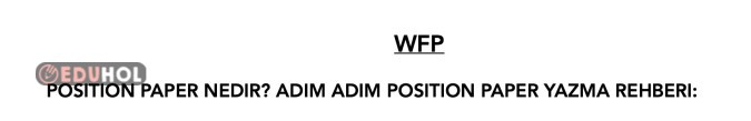 ADIM ADIM POSITION PAPER YAZMA REHBERI