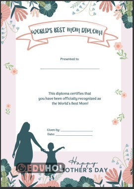 diploma versiyon 2