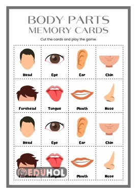 Body Parts Memory Cards