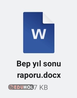 BEP GELİŞİM VE DEĞERLENDİRME RAPORU