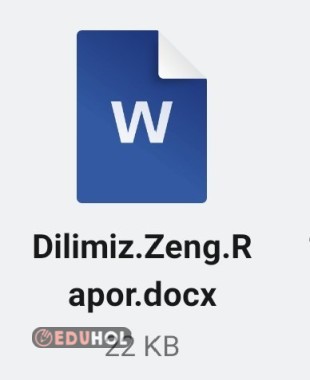DİLİMİZİN ZENGİNLİKLERİ RAPORU