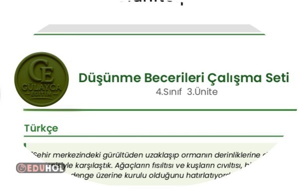 DÜŞÜNME BECERİLERİ ÇALIŞMA SETİ 3.Ünite