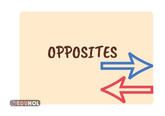 OPPOSITES FLASHCARD