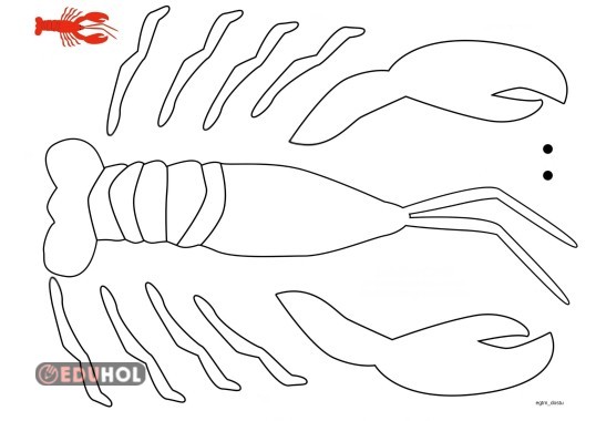 I Sesi Istakoz Etkinliği