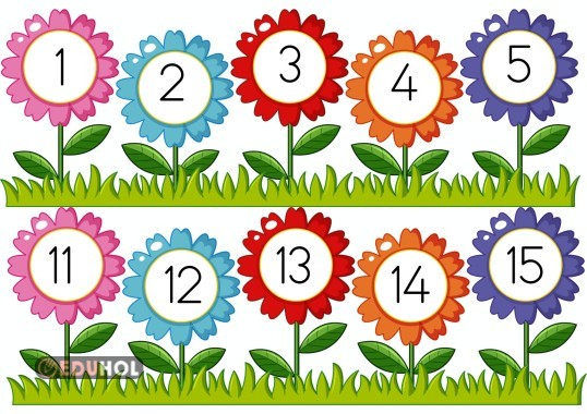 Yüzlük Tablo Pano İçin