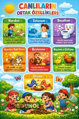 Canlıların Ortak Özellikleri Pano