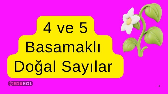4 ve 5 Basamaklı Doğal Sayılar Çözümleme