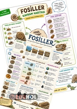 Fosiller Konusunda Bilgi Posteri ✔️