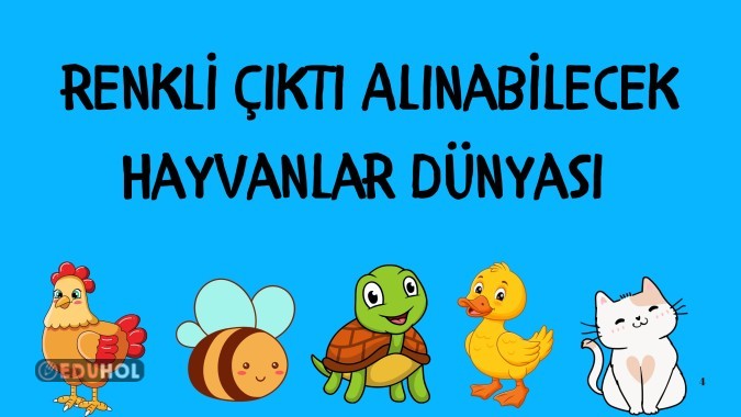 Şirin mi şirin hayvalar âlemi.Hem panolarda hem sınıf kapılarında kullanılabilir.25 tane pdf