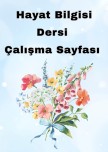 Hayat Bilgisi Çalışma Sayfası