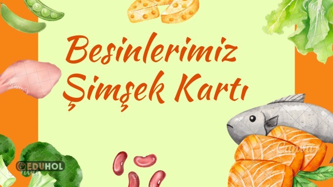 4.Sınıf Besinler Konusu Şimşek Kart