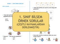 1. Sınıf BİLSEM Örnek Sorular